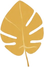 a yellow leaf on a white background.jpg